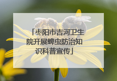 枣阳市吉河卫生院开展蜱虫防治知识科普宣传