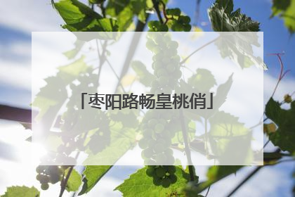 枣阳路畅皇桃俏