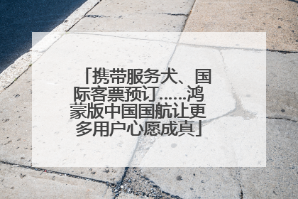 携带服务犬、国际客票预订……鸿蒙版中国国航让更多用户心愿成真