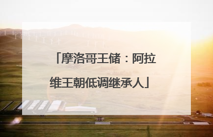 摩洛哥王储：阿拉维王朝低调继承人