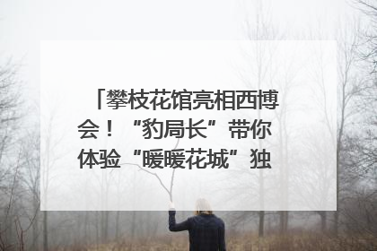 攀枝花馆亮相西博会！“豹局长”带你体验“暖暖花城”独特魅力｜西博视界