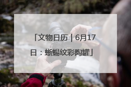 文物日历｜6月17日：蜥蜴纹彩陶罐