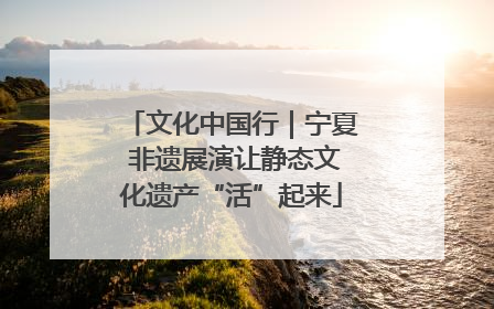 文化中国行｜宁夏 非遗展演让静态文化遗产“活”起来
