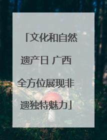文化和自然遗产日 广西全方位展现非遗独特魅力