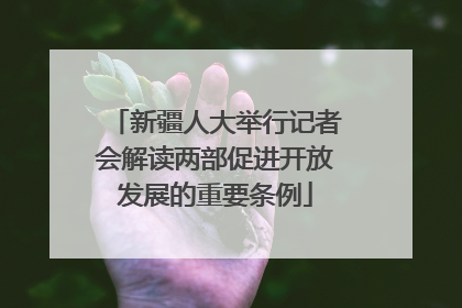 新疆人大举行记者会解读两部促进开放发展的重要条例