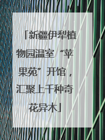 新疆伊犁植物园温室“苹果苑”开馆，汇聚上千种奇花异木