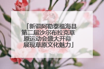 新疆阿勒泰福海县第二届沙尔布拉克草原运动会盛大开幕 展现草原文化魅力