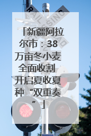新疆阿拉尔市：38万亩冬小麦全面收割 开启夏收夏种“双重奏”