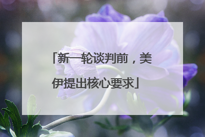 新一轮谈判前，美伊提出核心要求