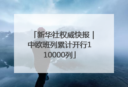 新华社权威快报｜中欧班列累计开行110000列