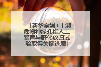 新华全媒+丨濒危物种绿孔雀人工繁育与野化放归试验取得关键进展