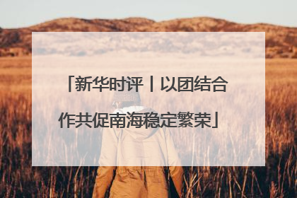 新华时评丨以团结合作共促南海稳定繁荣