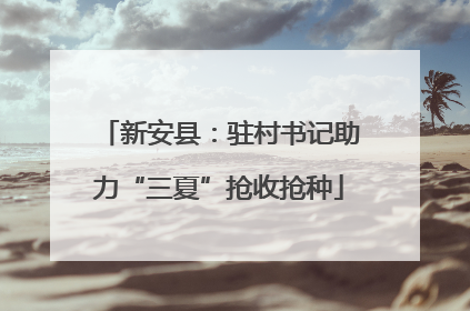新安县：驻村书记助力“三夏”抢收抢种