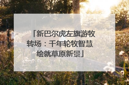 新巴尔虎左旗游牧转场：千年轮牧智慧绘就草原新景