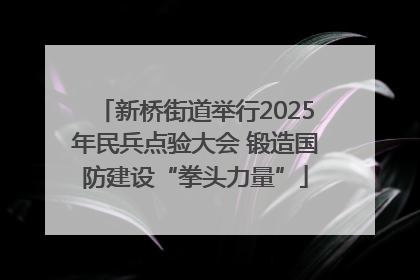 新桥街道举行2025年民兵点验大会 锻造国防建设“拳头力量”