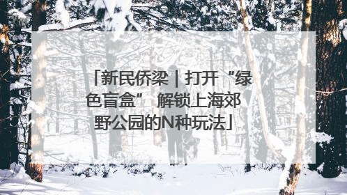 新民侨梁｜打开“绿色盲盒” 解锁上海郊野公园的N种玩法