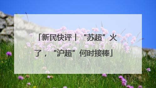 新民快评丨“苏超”火了，“沪超”何时接棒