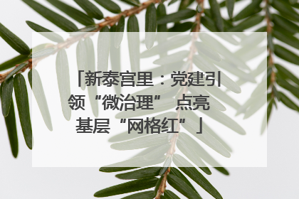 新泰宫里：党建引领“微治理” 点亮基层“网格红”