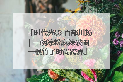 时代光影 百部川扬｜一碗凉粉麻辣破圈 一根竹子时尚跨界