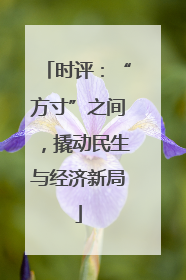 时评：“方寸”之间，撬动民生与经济新局