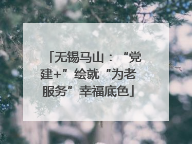 无锡马山：“党建+”绘就“为老服务”幸福底色