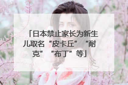 日本禁止家长为新生儿取名“皮卡丘”“耐克”“布丁”等