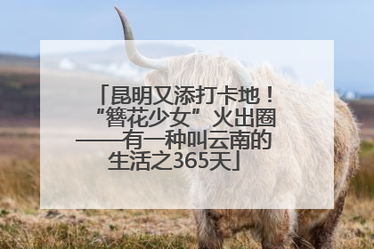昆明又添打卡地！“簪花少女”火出圈——有一种叫云南的生活之365天
