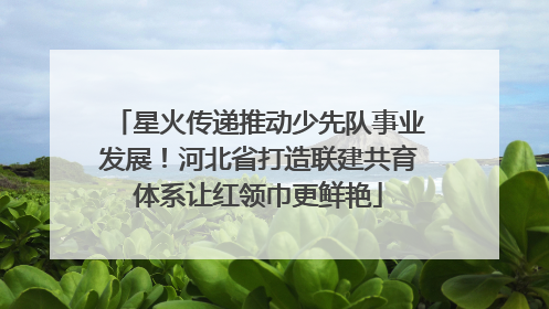 星火传递推动少先队事业发展！河北省打造联建共育体系让红领巾更鲜艳