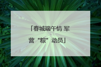春城端午情 军营“粽”动员