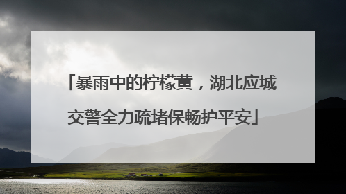 暴雨中的柠檬黄，湖北应城交警全力疏堵保畅护平安