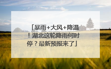 暴雨+大风+降温！湖北这轮降雨何时停？最新预报来了