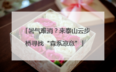 暑气难消？来泰山云步桥寻找“森系凉意”
