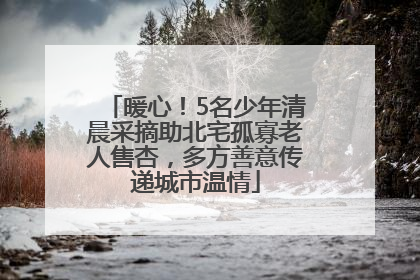 暖心！5名少年清晨采摘助北宅孤寡老人售杏，多方善意传递城市温情