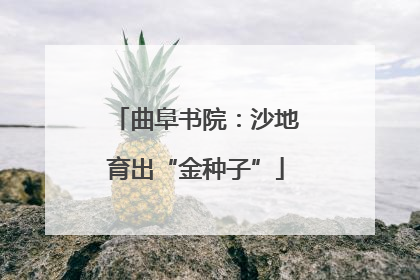 曲阜书院：沙地育出“金种子”