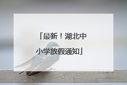 最新！湖北中小学放假通知