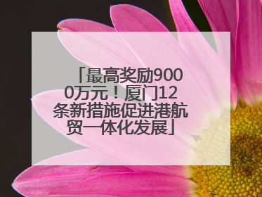 最高奖励9000万元！厦门12条新措施促进港航贸一体化发展
