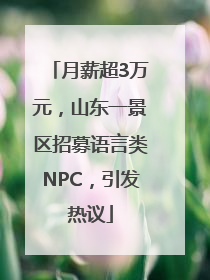 月薪超3万元，山东一景区招募语言类NPC，引发热议