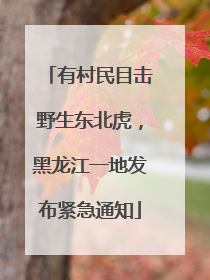 有村民目击野生东北虎，黑龙江一地发布紧急通知