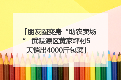 朋友圈变身“助农卖场” 武陵源区黄家坪村5天销出4000斤包菜
