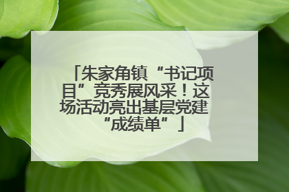 朱家角镇“书记项目”竞秀展风采！这场活动亮出基层党建“成绩单”