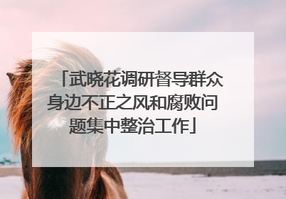 武晓花调研督导群众身边不正之风和腐败问题集中整治工作