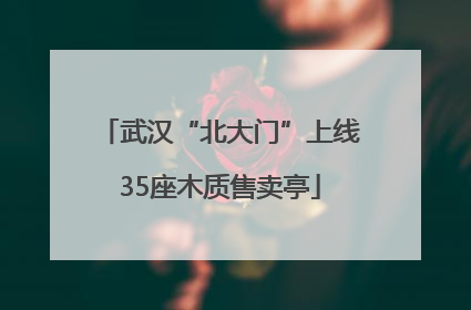 武汉“北大门”上线35座木质售卖亭