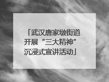 武汉唐家墩街道开展“三大精神”沉浸式宣讲活动