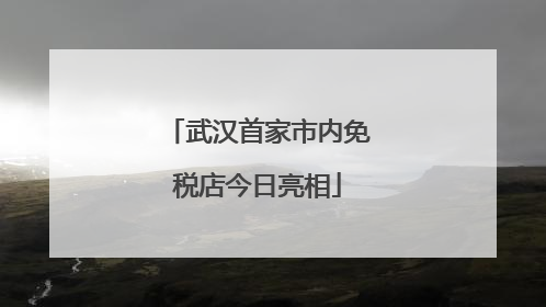 武汉首家市内免税店今日亮相
