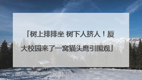 树上排排坐 树下人挤人！厦大校园来了一窝猫头鹰引围观