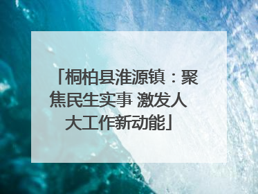 桐柏县淮源镇：聚焦民生实事 激发人大工作新动能