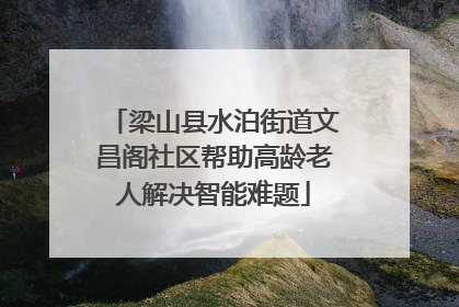 梁山县水泊街道文昌阁社区帮助高龄老人解决智能难题