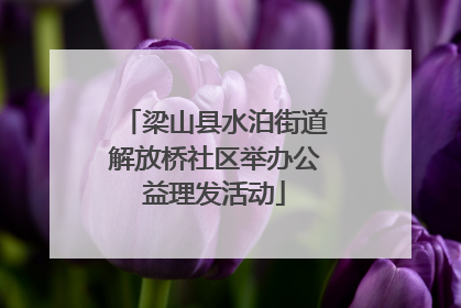 梁山县水泊街道解放桥社区举办公益理发活动