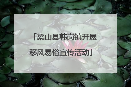 梁山县韩岗镇开展移风易俗宣传活动