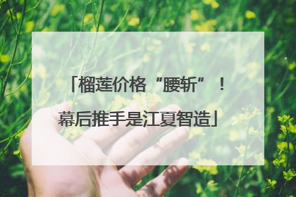 榴莲价格“腰斩”！幕后推手是江夏智造